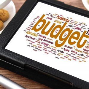budżet domowy